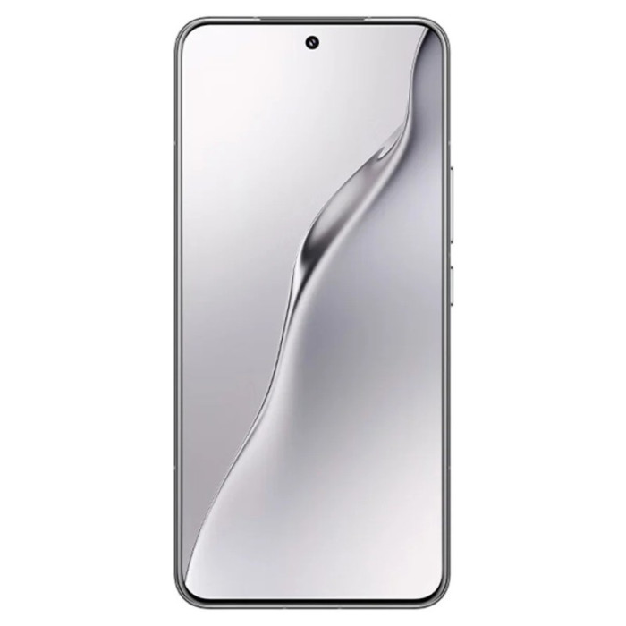 Смартфон Xiaomi 15 Pro 12/256GB Серебристый (Bright Silver Edition)