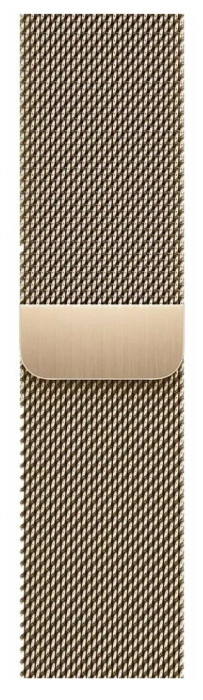 Умные часы Apple Watch Series 9 41mm Stainless Steel Case Milanese Loop Gold | Фото 3 из 4